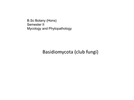 Basidiomycota (Club Fungi)  the Basidiomycota (Colloquially Basidiomycetes) Are a Large Group of Fungi with Over 30 000 Species