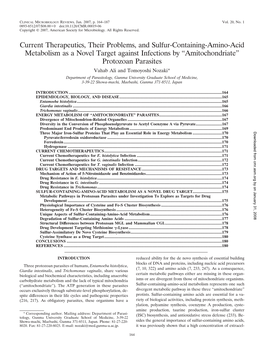 Current Therapeutics, Their Problems, and Sulfur-Containing