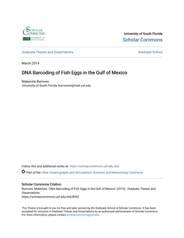 DNA Barcoding of Fish Eggs in the Gulf of Mexico