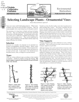 Selecting Landscape Plants - Ornamental Vines Diane Relf and Bonnie Appleton*