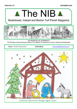 Neatishead, Irstead and Barton Turf Parish Magazine