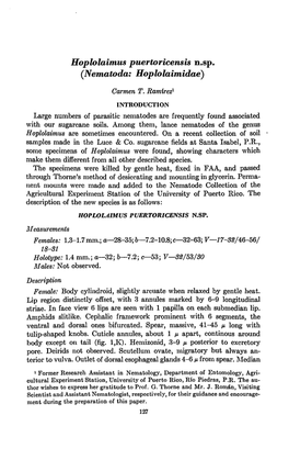 Hoplolaimus Puertoricensis N.Sp. (Nematoda: Hoplolaimidae)