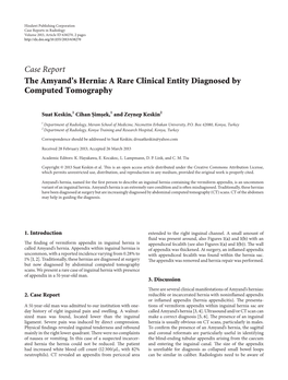 The Amyand's Hernia: a Rare Clinical Entity Diagnosed by Computed