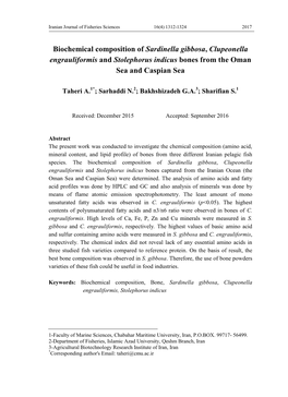 Biochemical Composition of Sardinella Gibbosa, Clupeonella Engrauliformis and Stolephorus Indicus Bones from the Oman Sea and Caspian Sea