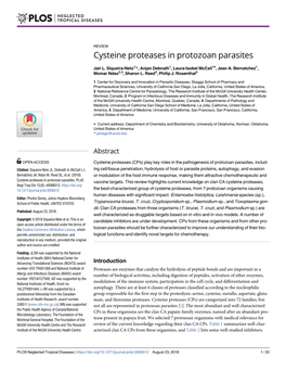 Cysteine Proteases in Protozoan Parasites