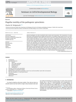 Flagellar Motility of the Pathogenic Spirochetes