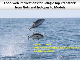 Food-Web Implications for Pelagic Top Predators: from Guts and Isotopes to Models