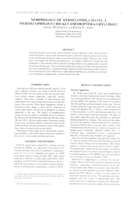 MYRMECOPHILOUS CRICKET (ORTHOPTERA:GRYLLIDAE)I GREGG H ENDERSOI\ and ROGER D