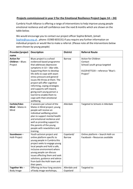 Projects Commissioned in Year 2 for the Emotional Resilience Project (Ages 14 –