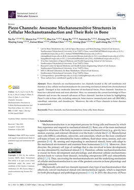 Piezo Channels: Awesome Mechanosensitive Structures in Cellular Mechanotransduction and Their Role in Bone