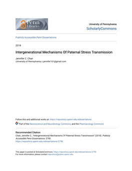 Intergenerational Mechanisms of Paternal Stress Transmission