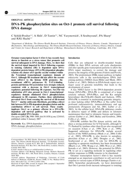 DNA-PK Phosphorylation Sites on Oct-1 Promote Cell Survival Following DNA Damage