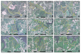 1-2 Saluda River Tract 1-3 Bush River Tract 1-1 Little River