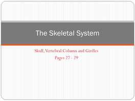 The Skull and Vertebral Column
