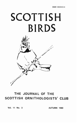 Scottish Birds