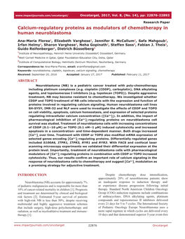 Calcium-Regulatory Proteins As Modulators of Chemotherapy in Human Neuroblastoma