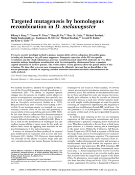 Targeted Mutagenesis by Homologous Recombination in D. Melanogaster