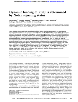 Dynamic Binding of RBPJ Is Determined by Notch Signaling Status