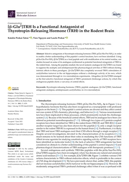 TRH Is a Functional Antagonist of Thyrotropin-Releasing Hormone (TRH) in the Rodent Brain