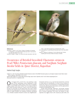 Occurrence of Bristled Grassbird Chaetornis Striata in Pearl Millet Pennisetum Glaucum, and Sorghum Sorghum Bicolor Fields in Ajmer District, Rajasthan