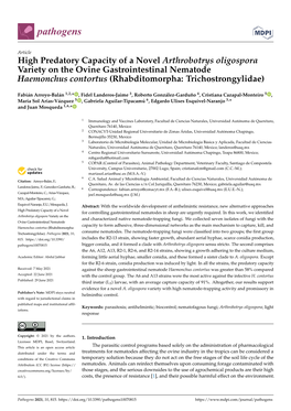 High Predatory Capacity of a Novel Arthrobotrys Oligospora Variety on the Ovine Gastrointestinal Nematode Haemonchus Contortus (Rhabditomorpha: Trichostrongylidae)