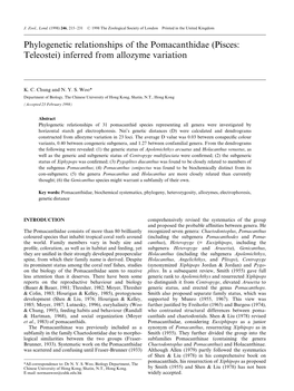 Phylogenetic Relationships of the Pomacanthidae (Pisces: Teleostei) Inferred from Allozyme Variation