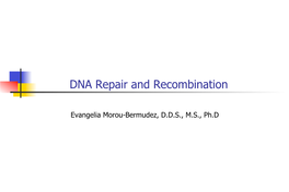 DNA Repair and Recombination