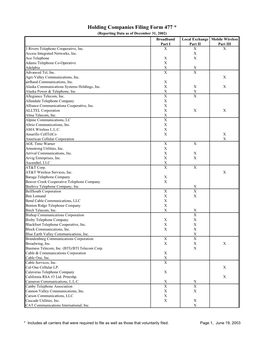 Holding Companies Filing Form 477 *