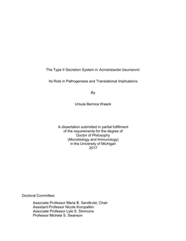 The Type II Secretion System in Acinetobacter Baumannii: Its Role