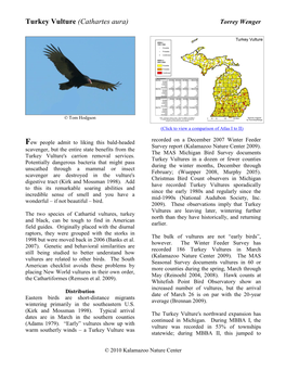 Turkey Vulture (Cathartes Aura) Torrey Wenger