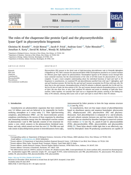 The Roles of the Chaperone-Like Protein Cpez and the Phycoerythrobilin Lyase Cpey in Phycoerythrin Biogenesis