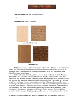 American Hornbeam – Carpinus Caroliniana. and Hophornbeam – Ostrya Virginiana American Hornbeam Hophornbeam at the Risk of C