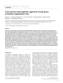 A Differential Autophagic Response to Hyperglycemia in the Developing