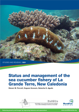 Status and Management of the Sea Cucumber Fishery of La Grande Terre, New Caledonia