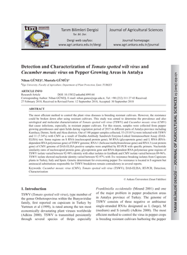 Detection and Characterization of Tomato Spotted Wilt Virus and Cucumber Mosaic Virus on Pepper Growing Areas in Antalya