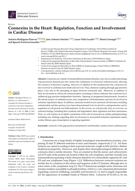 Connexins in the Heart: Regulation, Function and Involvement in Cardiac Disease