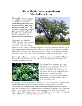 Silver Maple (Acer Saccharinum) Nebraska Forest Service