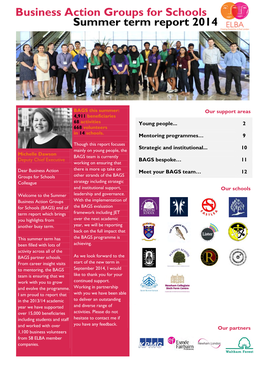 Business Action Groups for Schools Summer Term Report 2014