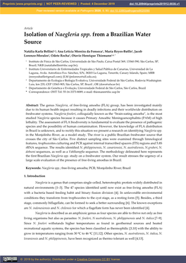 Isolation of Naegleria Spp. from a Brazilian Water Source