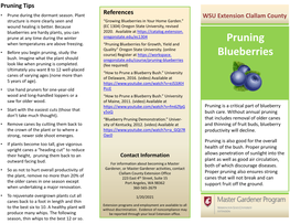 Blueberry Pruning Demonstration.” Univer- That Includes Removal of Older Canes • Remove Canes by Cutting Them Back to Sity of Kentucky, 2012