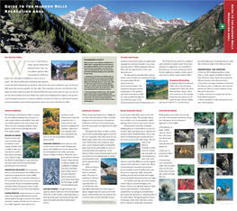 Guide to the Maroon Bells Recreation Area