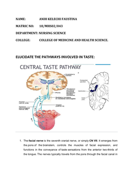 Elucidate the Pathways Involved in Taste