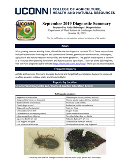 September 2019 Diagnostic Summary Prepared by Abby Beissinger, Diagnostician Department of Plant Science & Landscape Architecture October 11, 2019