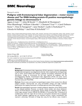 View and Standard Neuropathological Analysis of Brain Sections from Affected Pedigree Members