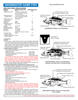 Warmwater Game Fish