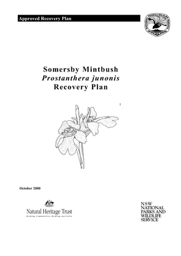 Somersby Mintbush Prostanthera Junonis Recovery Plan