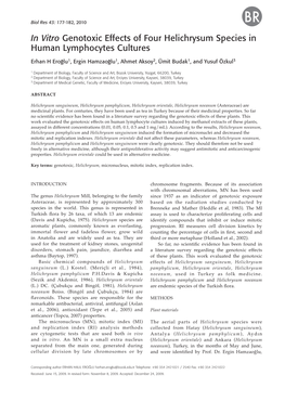 In Vitro Genotoxic Effects of Four Helichrysum Species in Human Lymphocytes Cultures