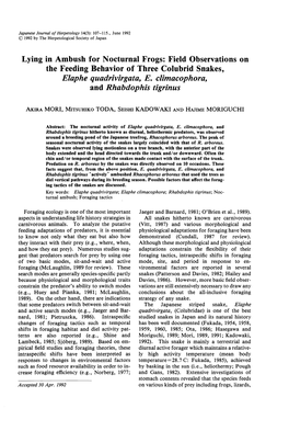 Lying in Ambush for Nocturnal Frogs: Field Observations on the Feeding Behavior of Three Colubrid Snakes, Elaphe Quadrivirgata, E