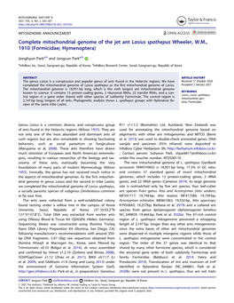 Complete Mitochondrial Genome of the Jet Ant Lasius Spathepus Wheeler, W.M., 1910 (Formicidae; Hymenoptera)