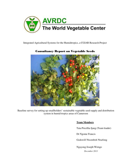 Consultancy Report on Vegetable Seeds